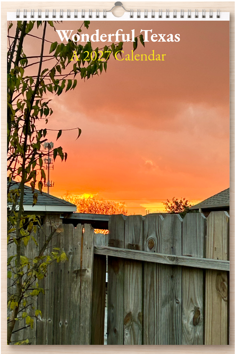 Wonderful Texas: A 2027 Calendar