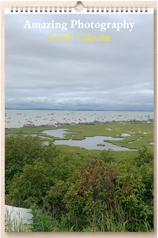 Amazing Photography: A 2027 Calendar