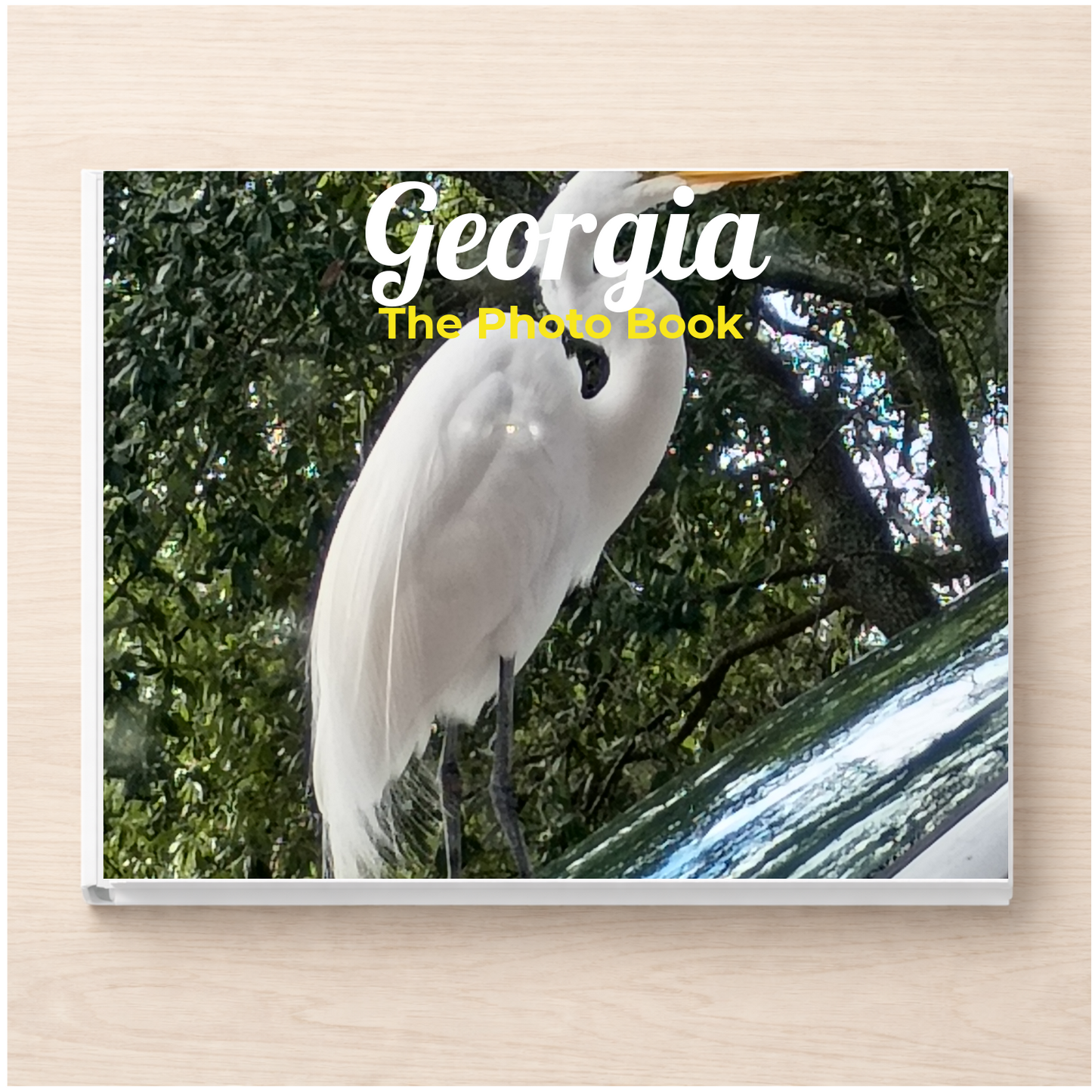 Georgia: The Photo Book