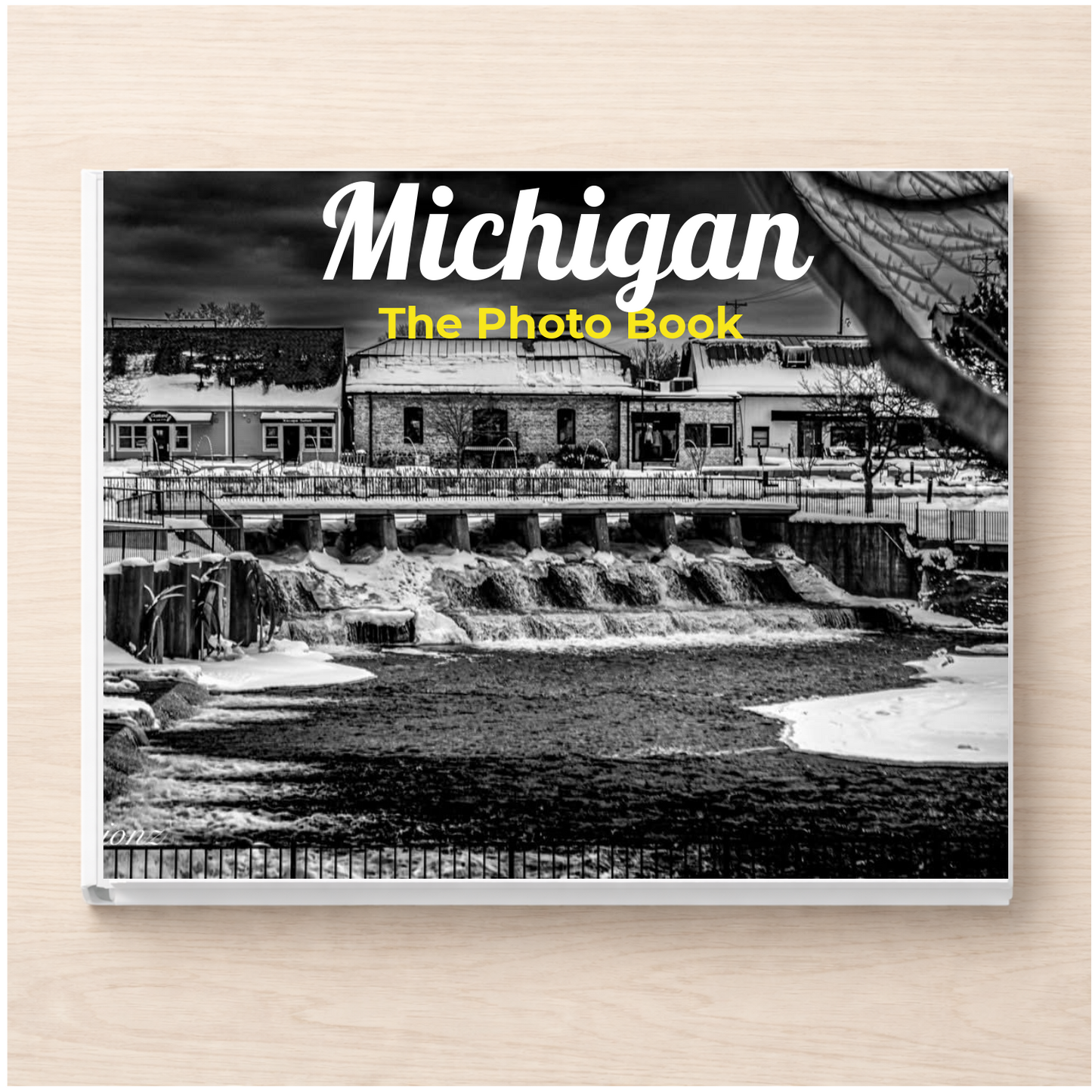 Michigan: The Photo Book