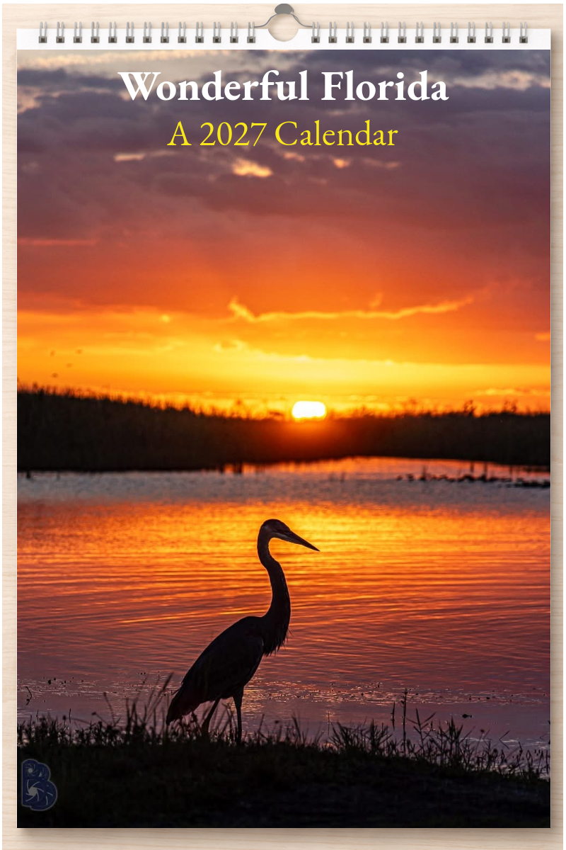 Wonderful Florida: A 2027 Calendar