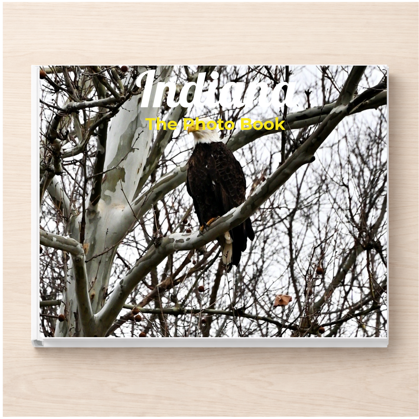 Indiana: The Photo Book