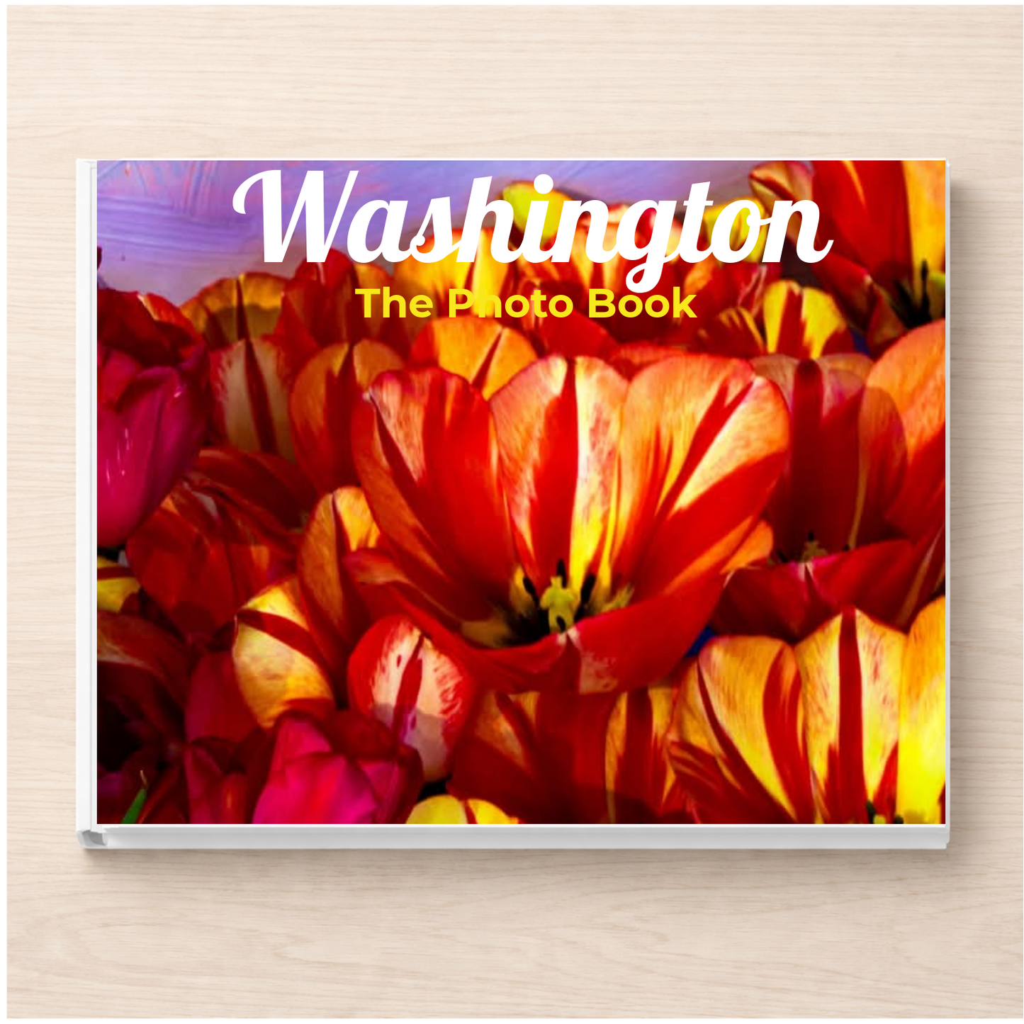 Washington: The Photo Book
