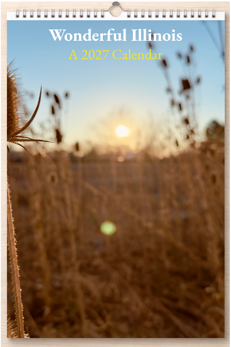 Wonderful Illinois: A 2027 Calendar