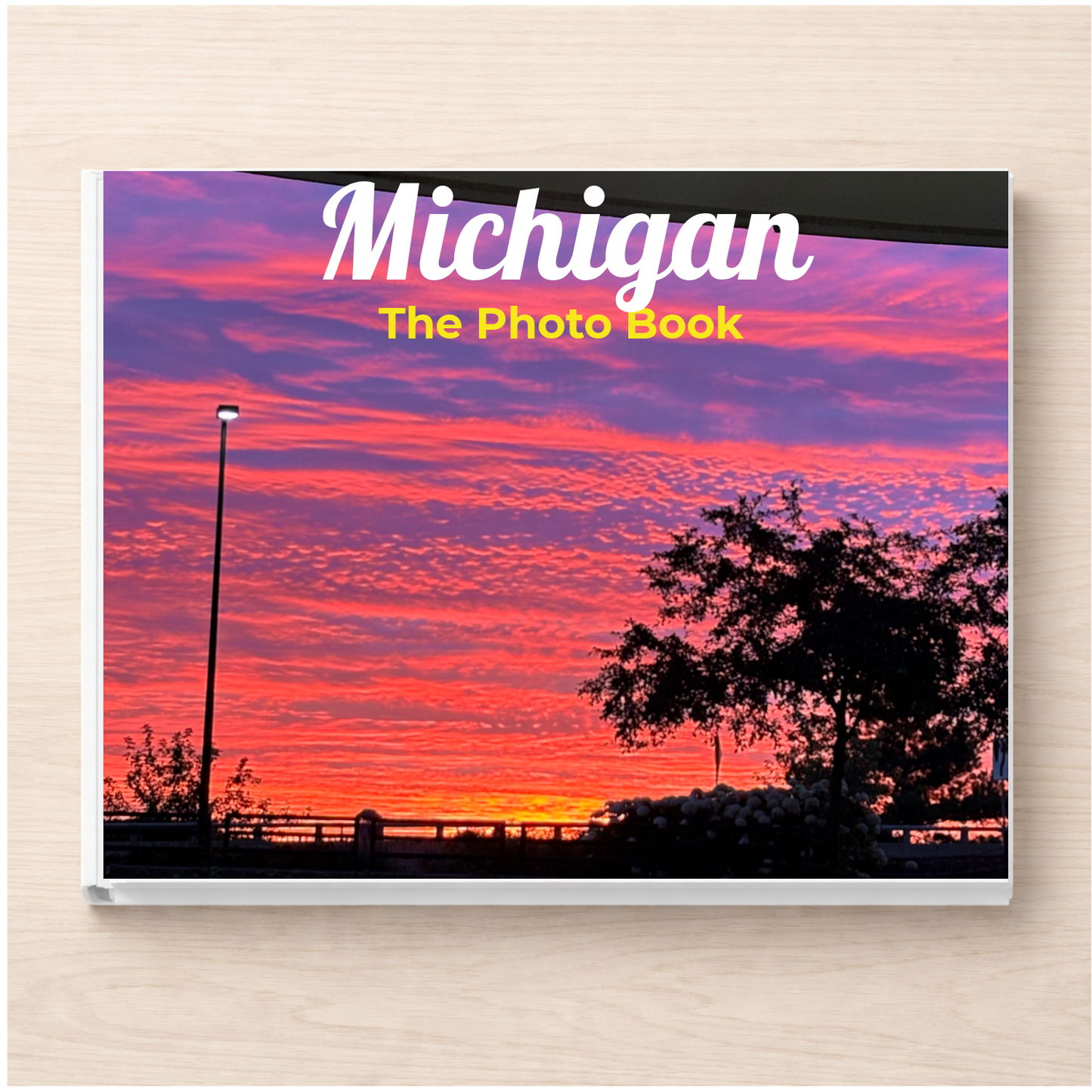 Michigan: The Photo Book