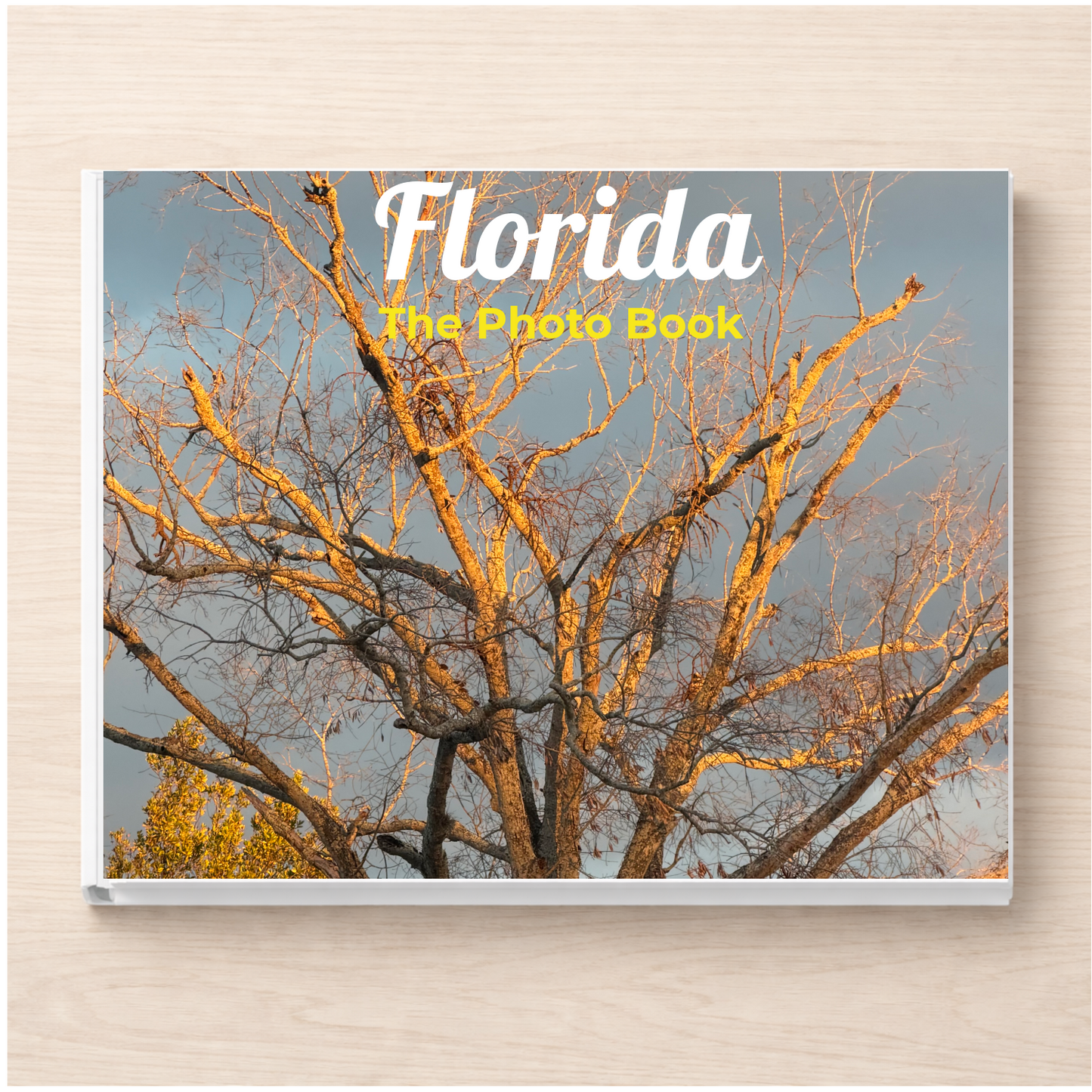 Florida: The Photo Book