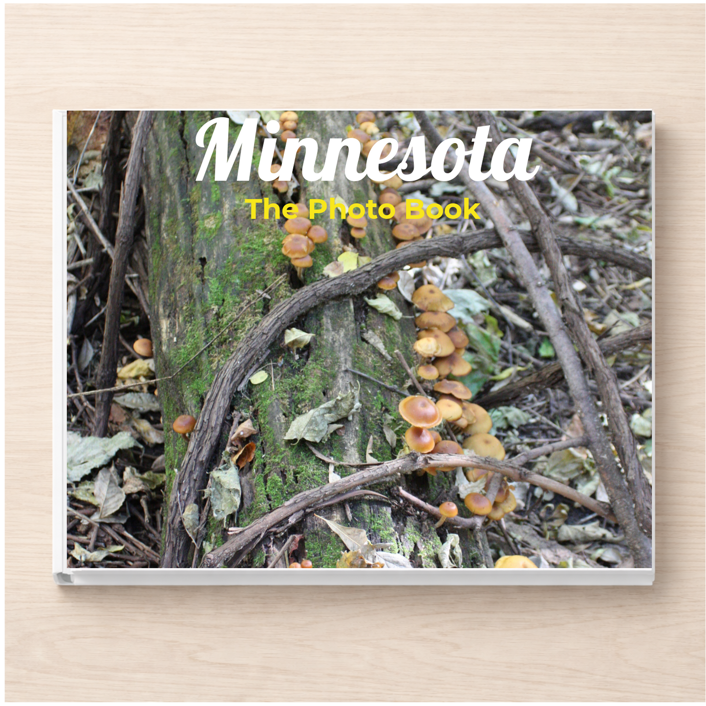 Minnesota: The Photo Book