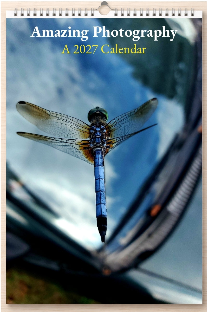 Amazing Photography: A 2027 Calendar