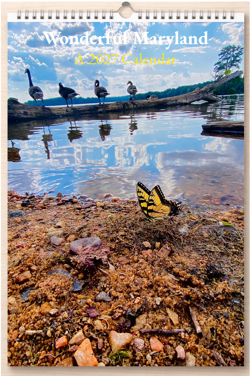 Wonderful Maryland: A 2027 Calendar