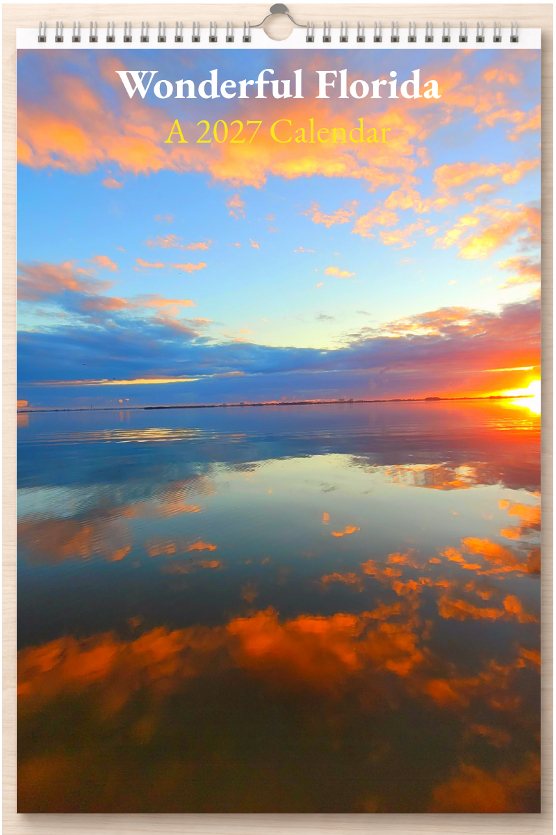 Wonderful Florida: A 2027 Calendar