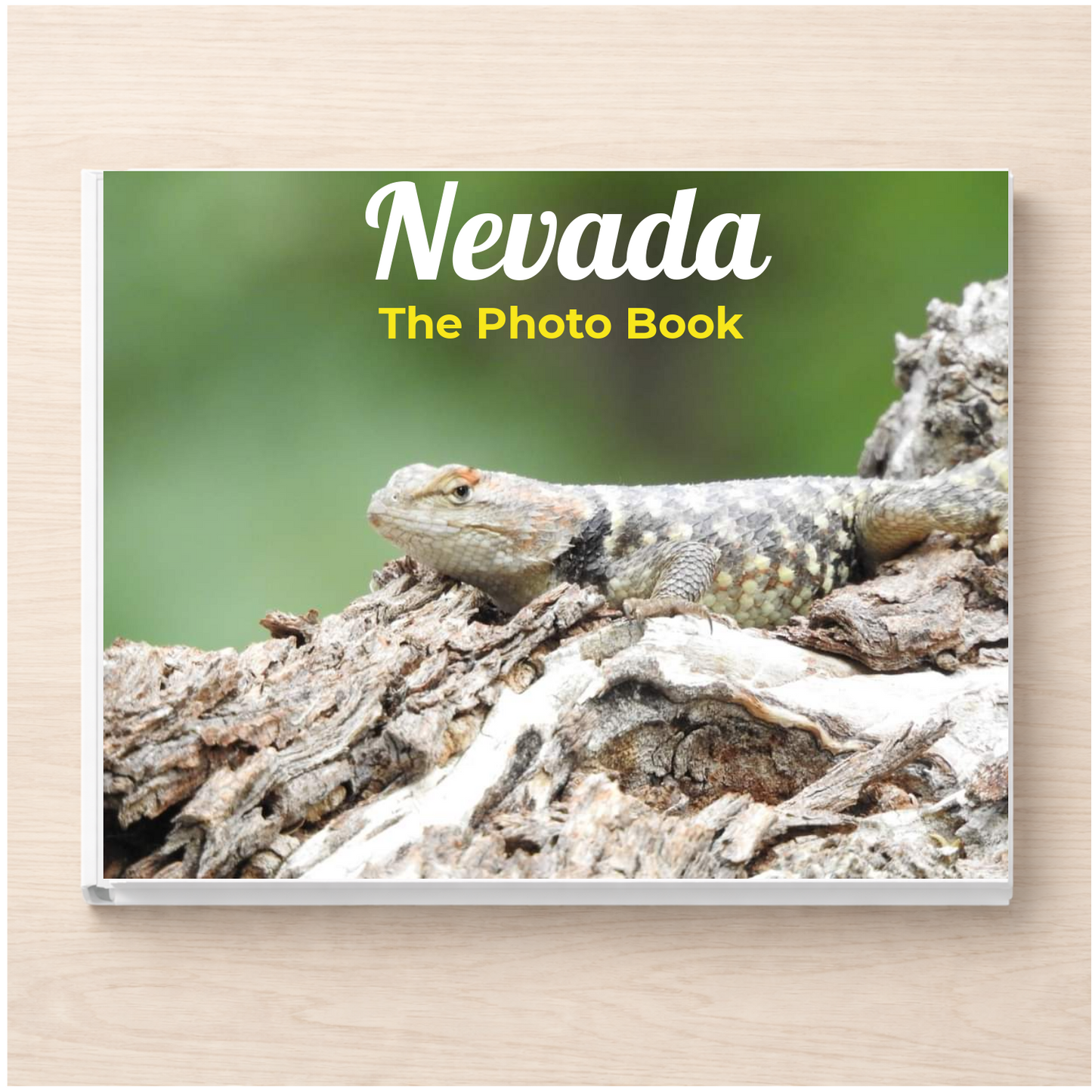 Nevada: The Photo Book