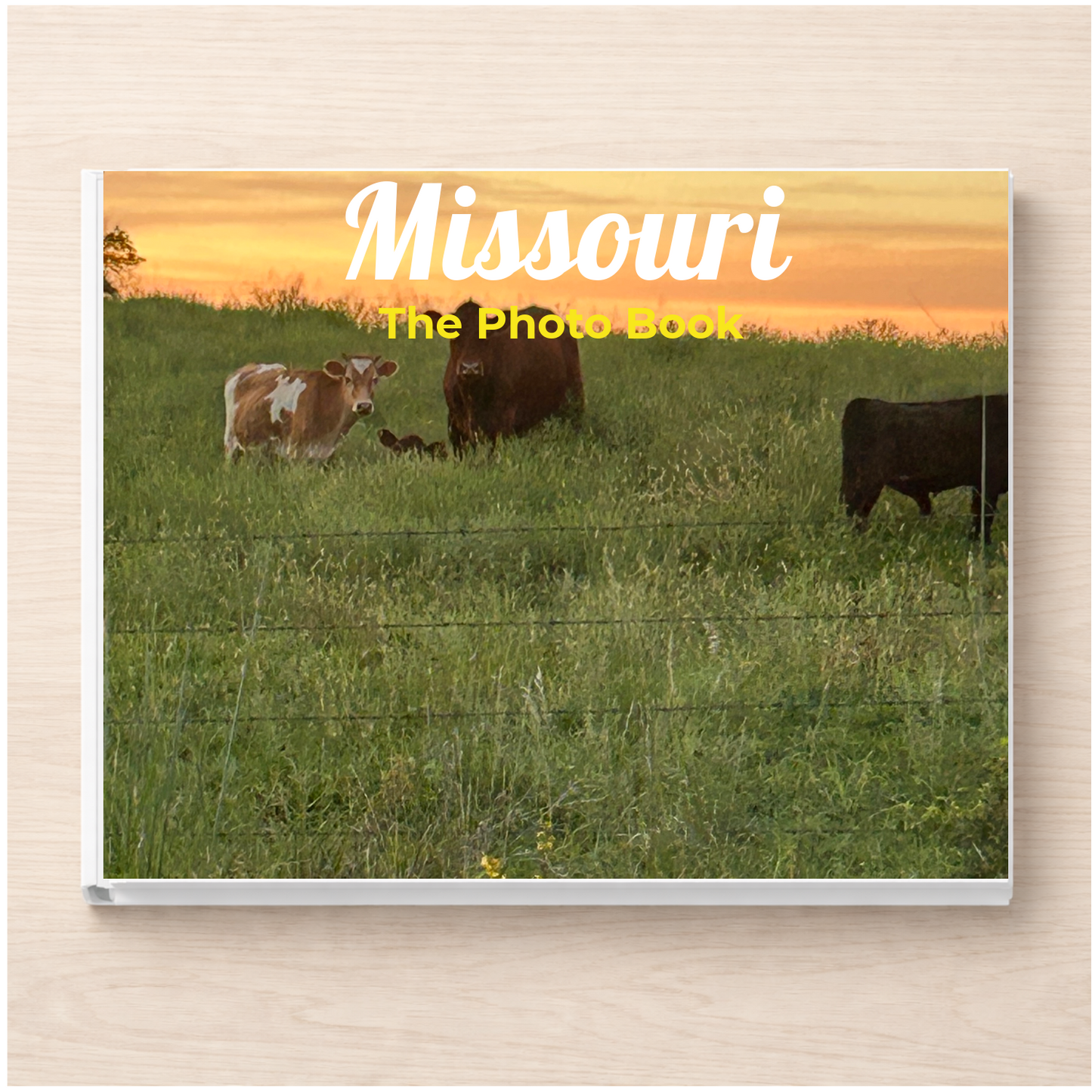 Missouri: The Photo Book