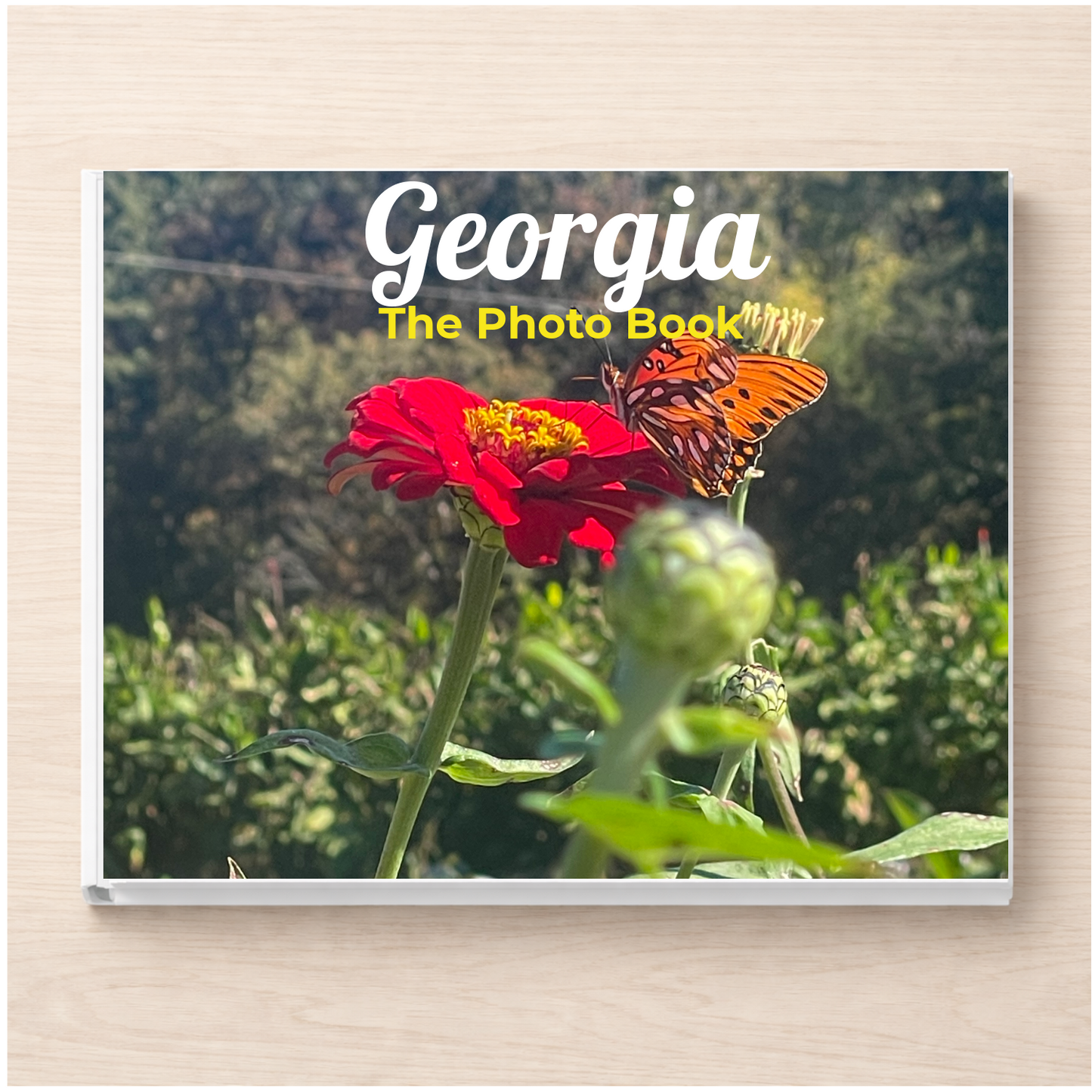 Georgia: The Photo Book