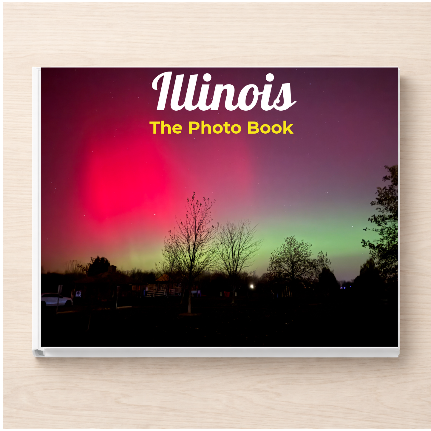 Illinois: The Photo Book