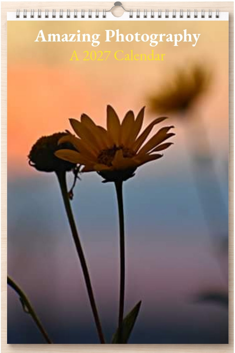 Amazing Photography: A 2027 Calendar