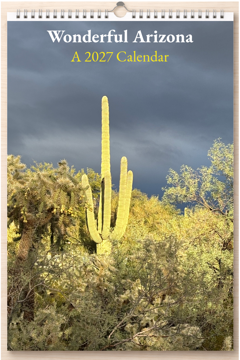 Wonderful Arizona: A 2027 Calendar