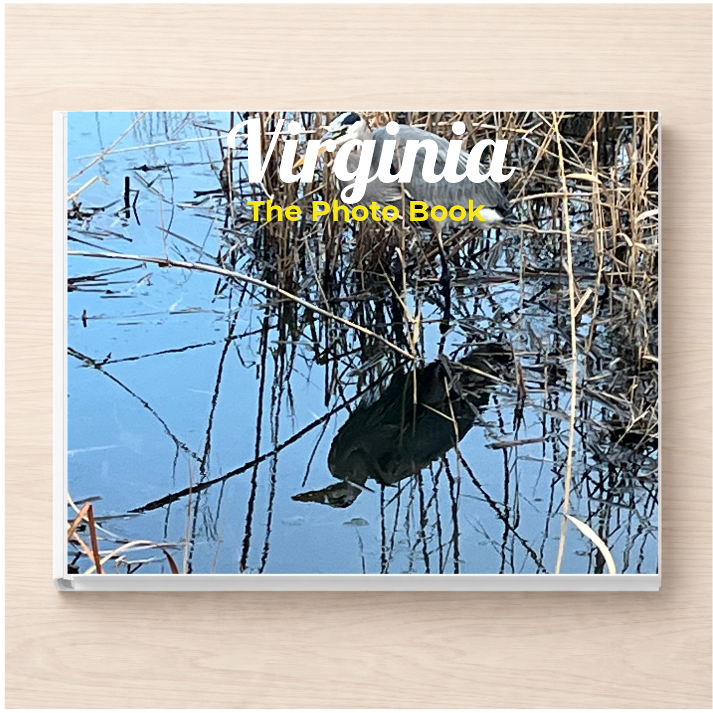 Virginia: The Photo Book