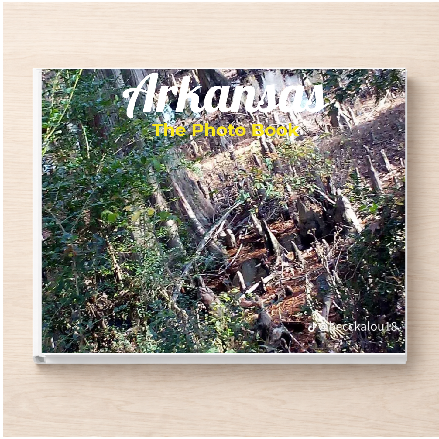 Arkansas: The Photo Book