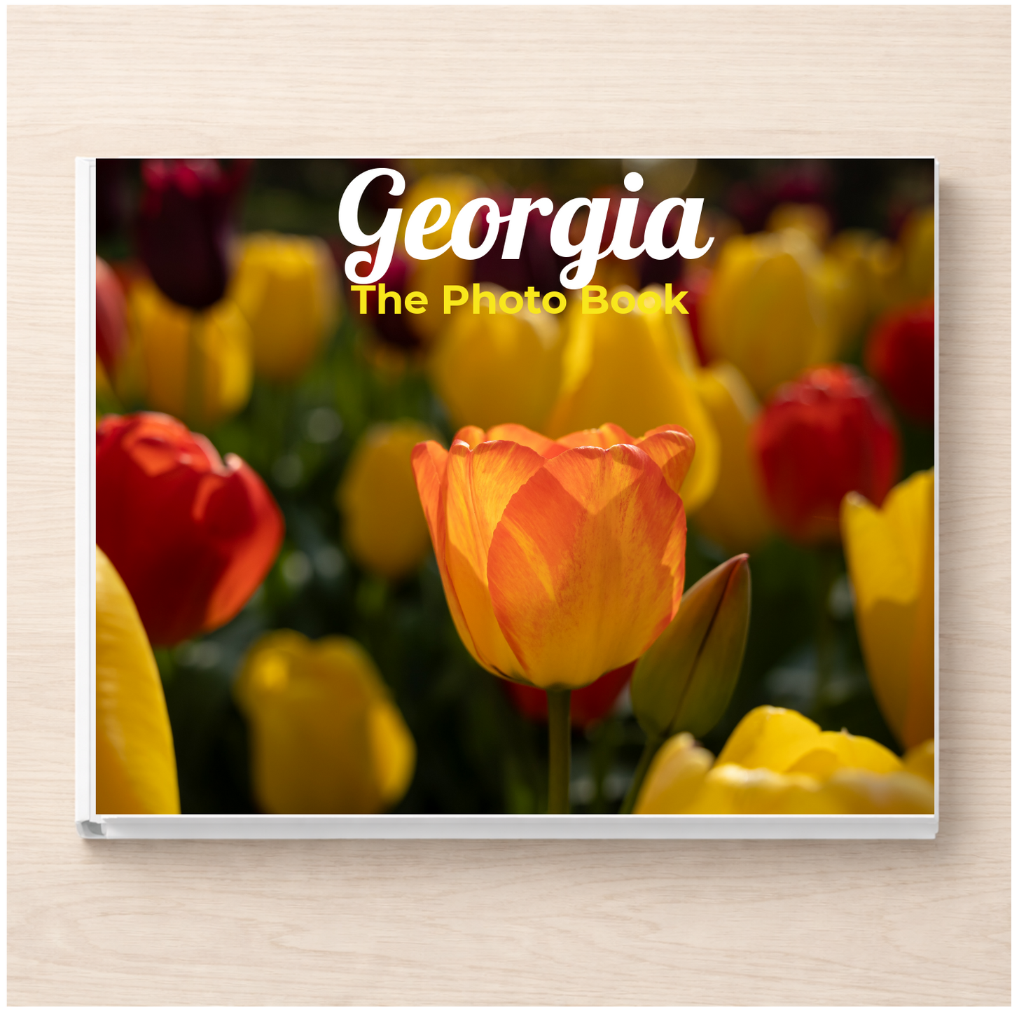 Georgia: The Photo Book
