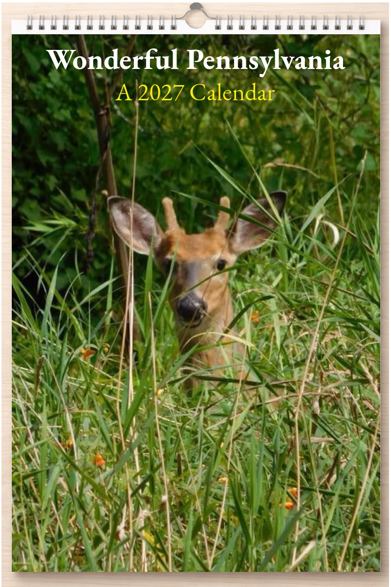 Wonderful Pennsylvania: A 2027 Calendar