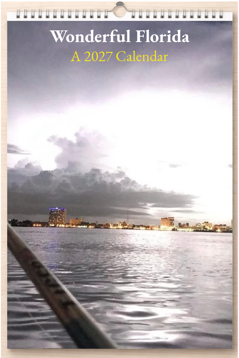 Wonderful Florida: A 2027 Calendar