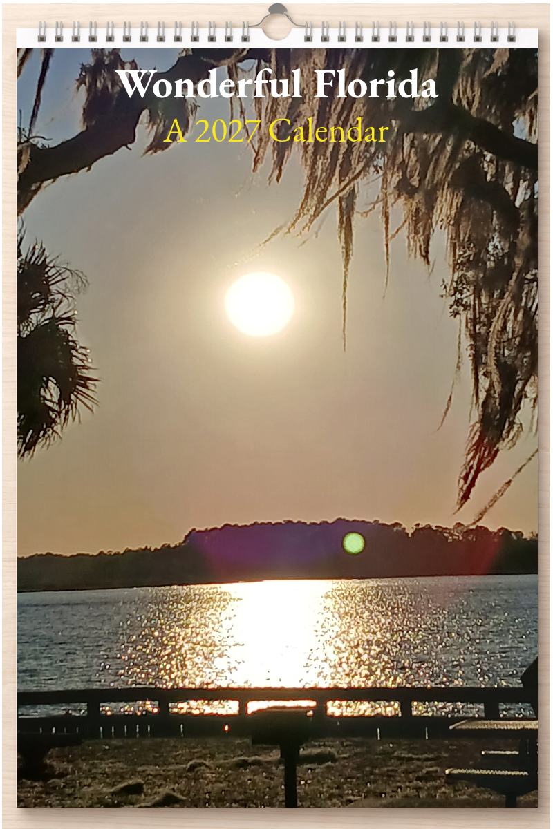 Wonderful Florida: A 2027 Calendar