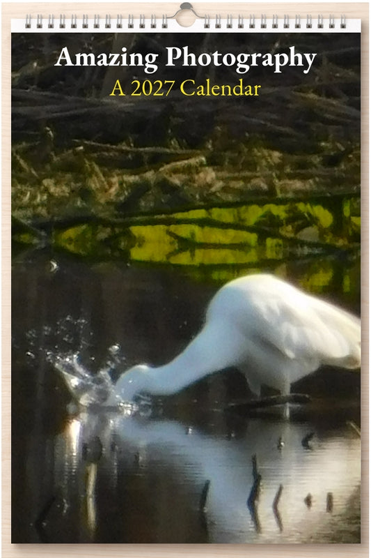 Amazing Photography: A 2027 Calendar