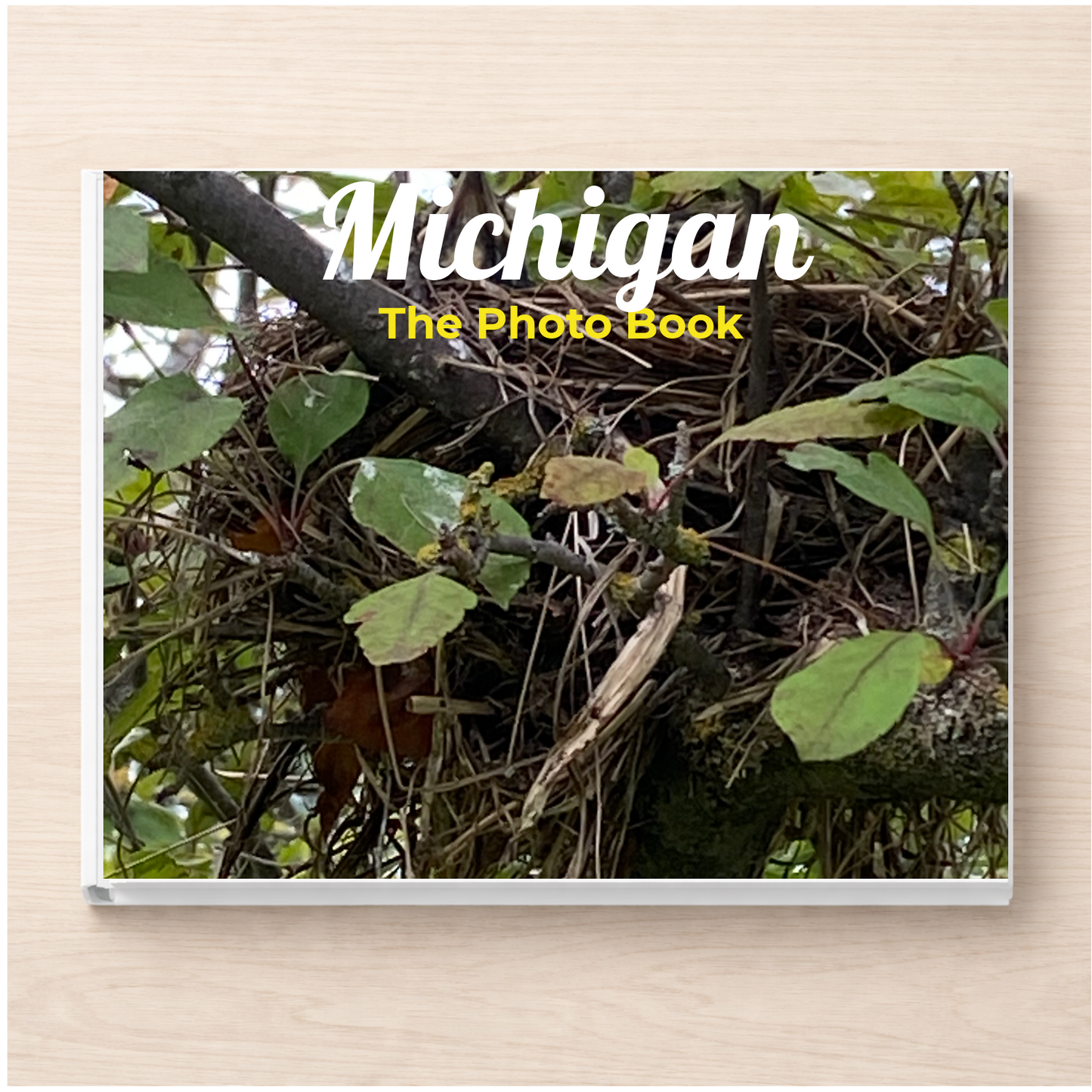 Michigan: The Photo Book