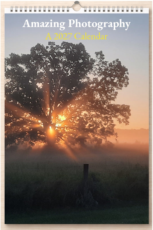 Amazing Photography: A 2027 Calendar