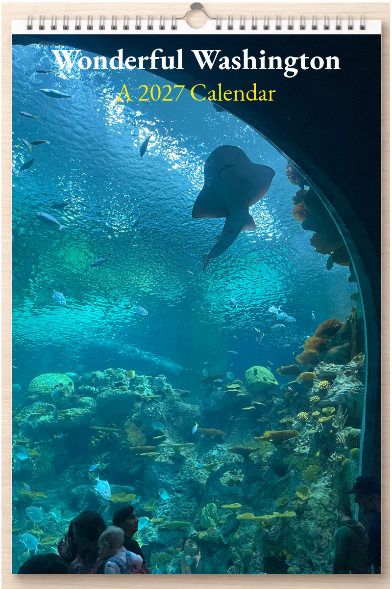Wonderful Washington: A 2027 Calendar