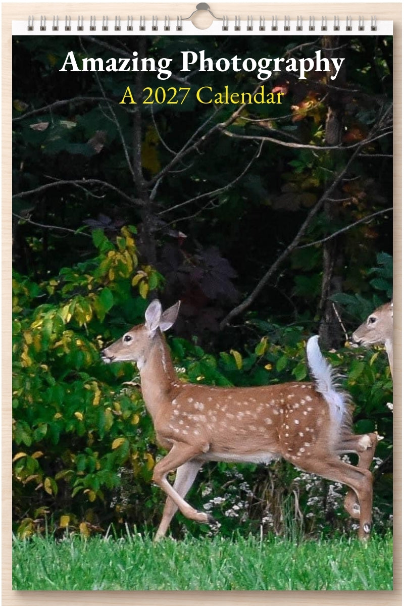 Amazing Photography: A 2027 Calendar