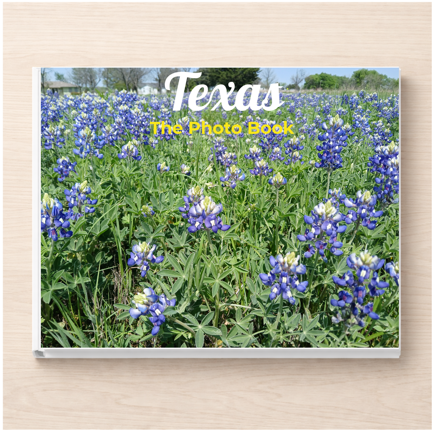 Texas: The Photo Book