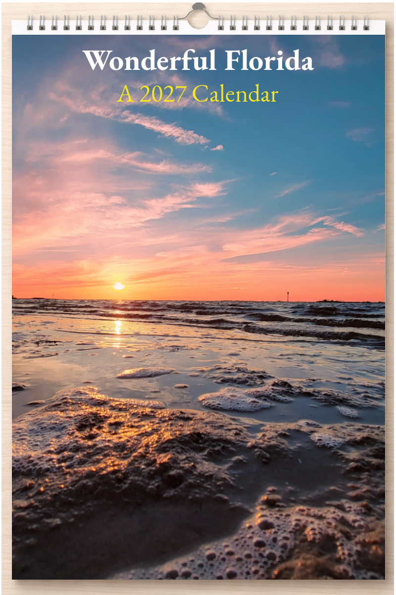 Wonderful Florida: A 2027 Calendar