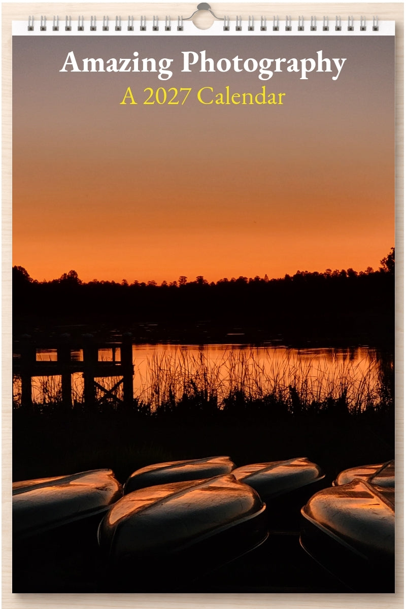 Amazing Photography: A 2027 Calendar