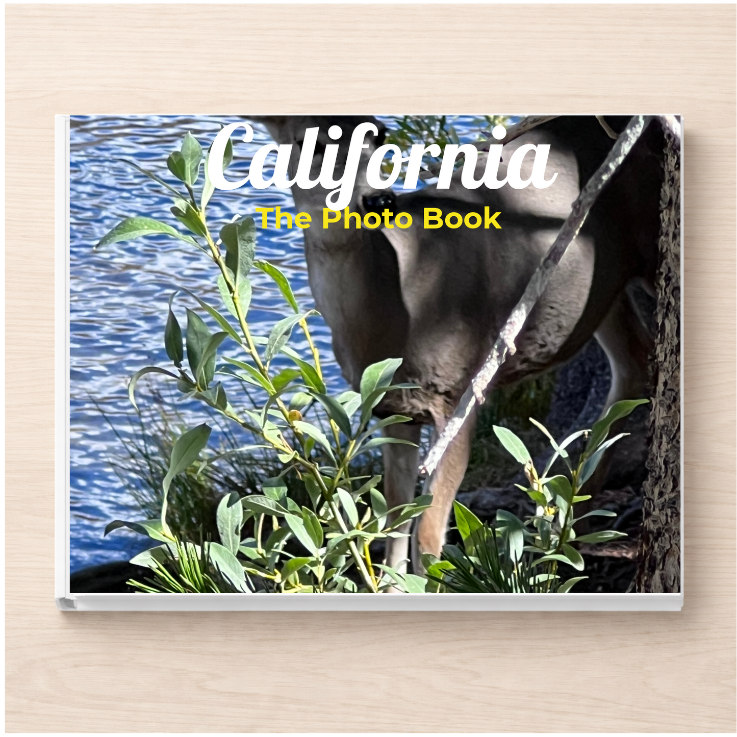 California: The Photo Book