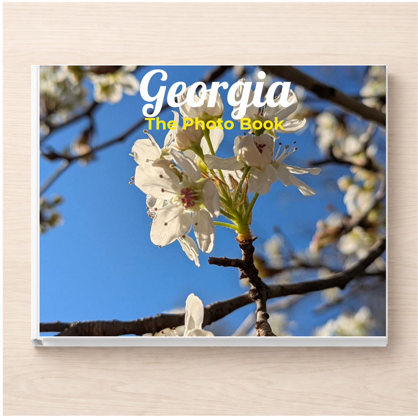 Georgia: The Photo Book