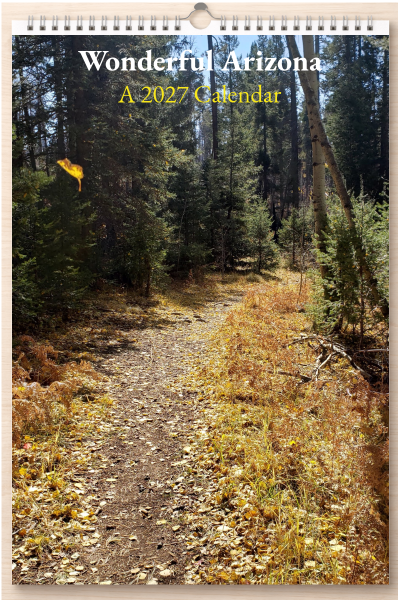 Wonderful Arizona: A 2027 Calendar