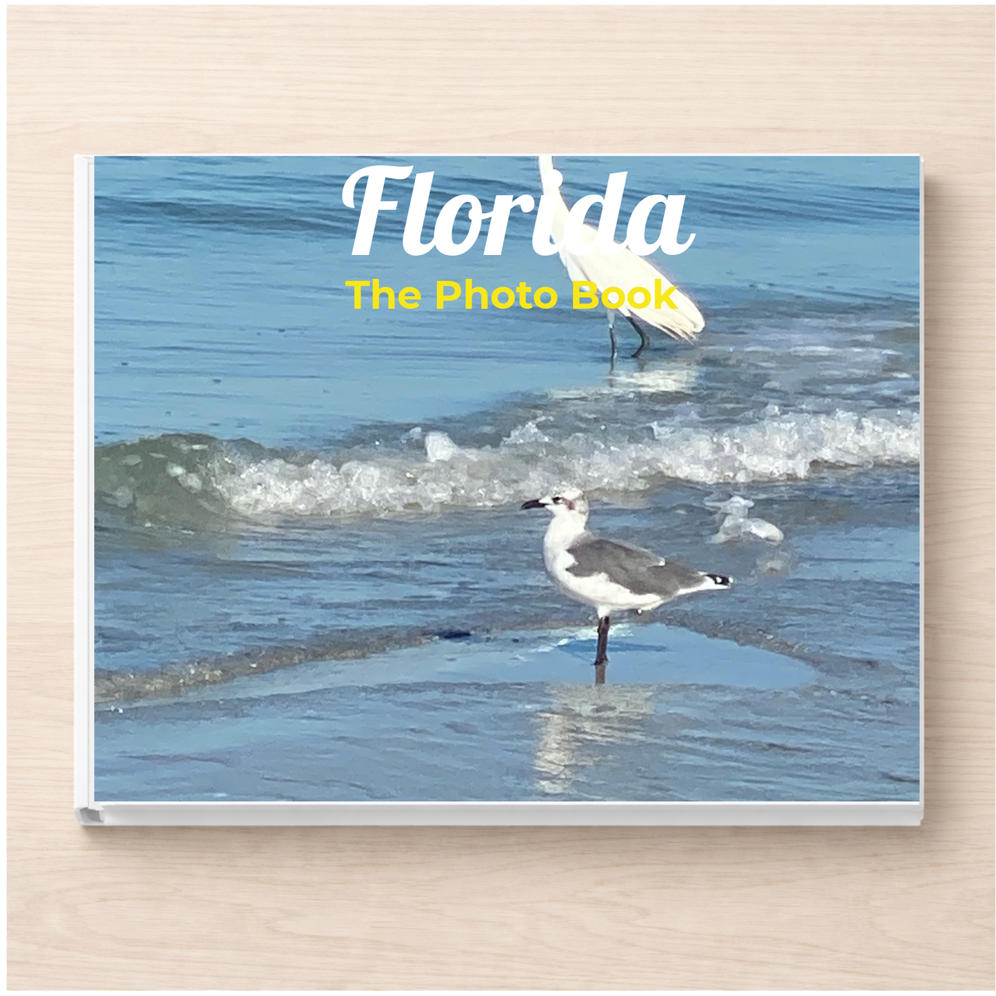Florida: The Photo Book