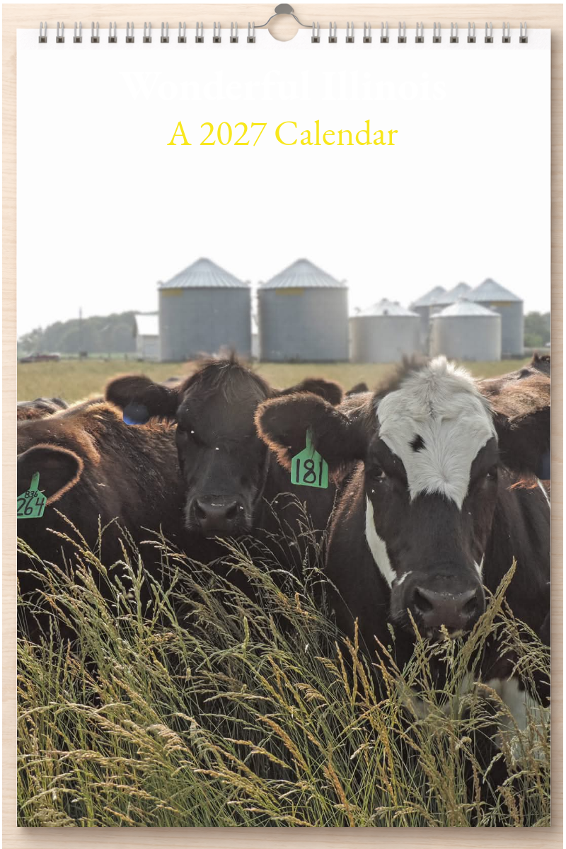 Wonderful Illinois: A 2027 Calendar