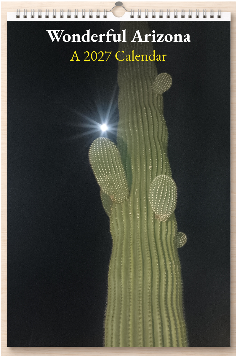 Wonderful Arizona: A 2027 Calendar
