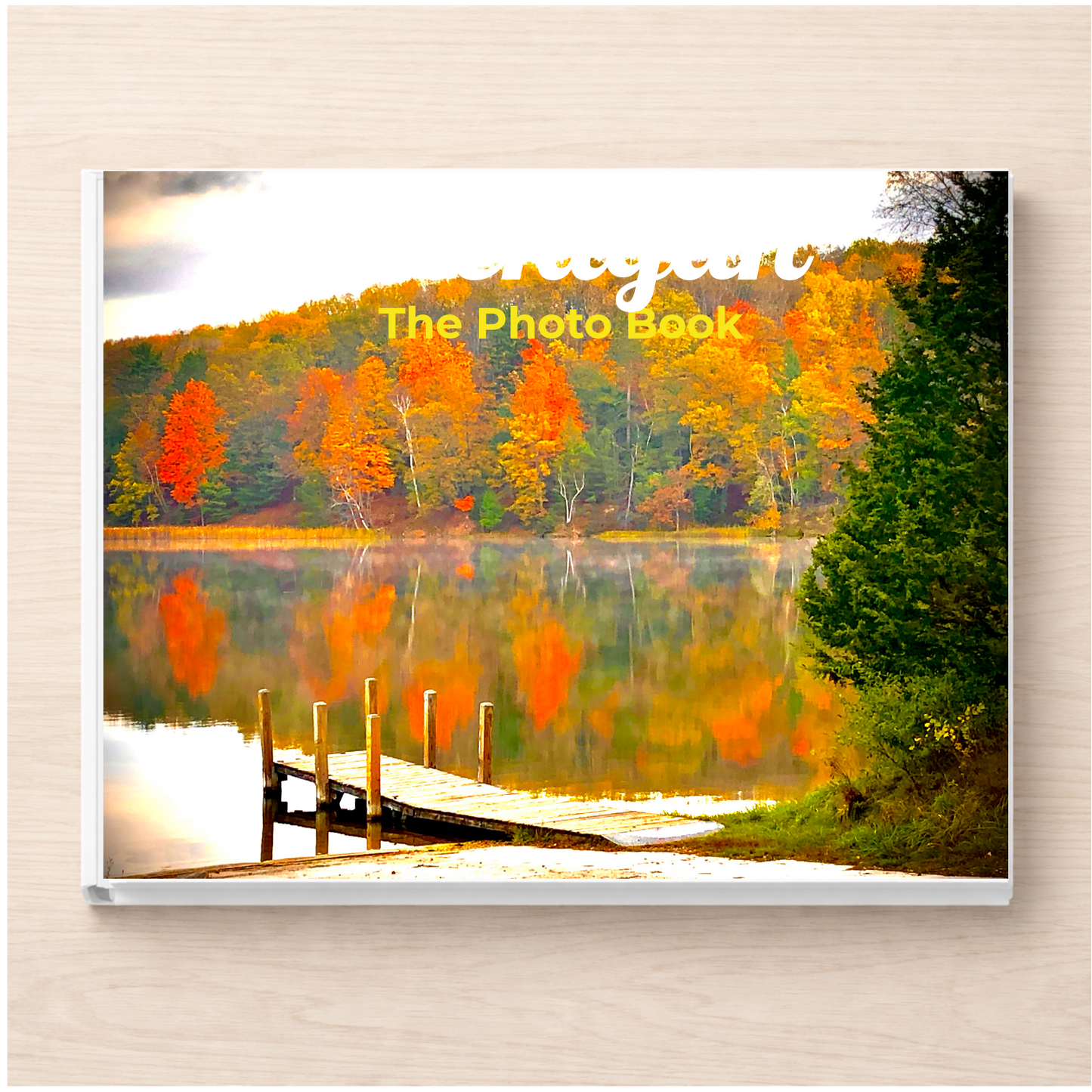 Michigan: The Photo Book