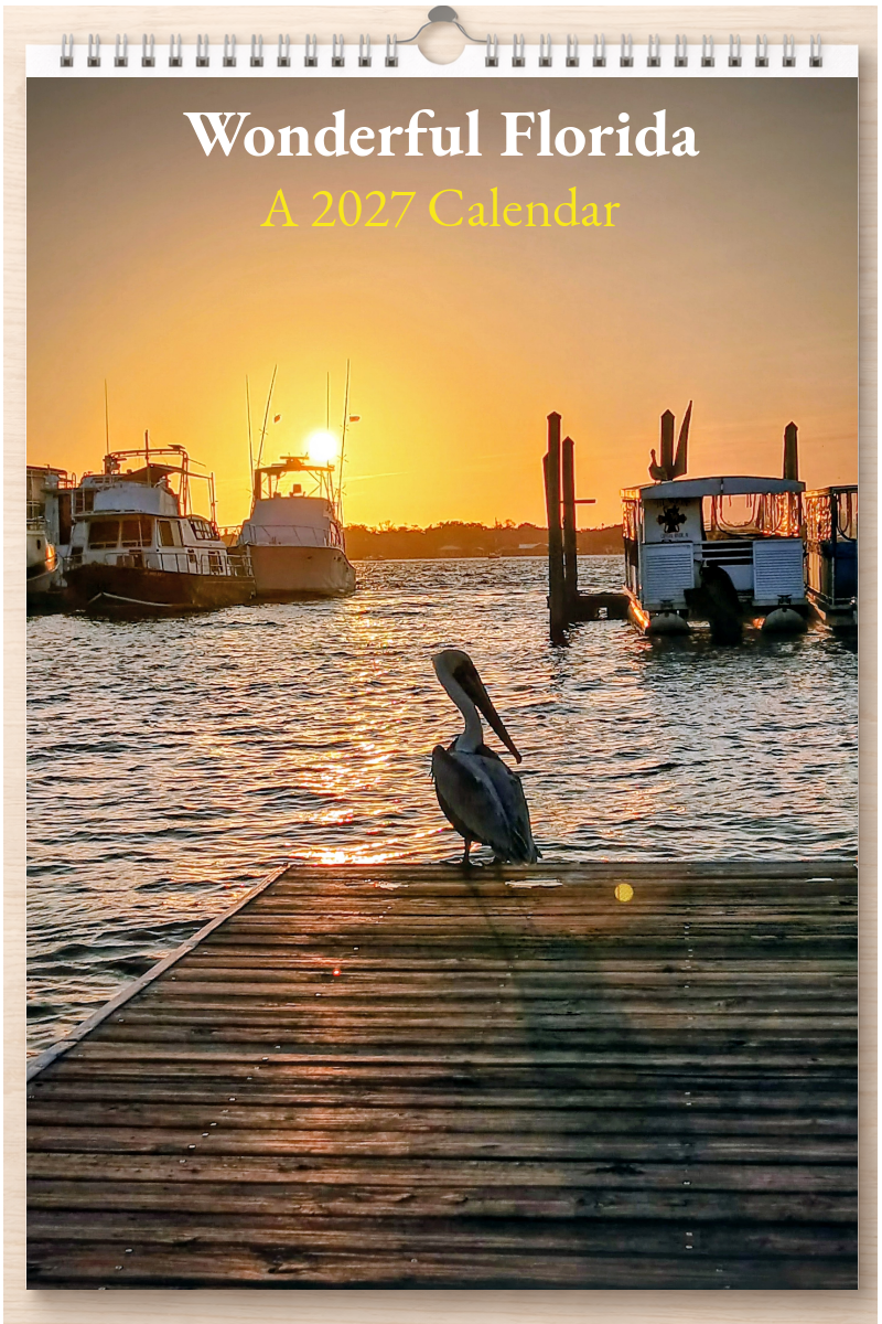 Wonderful Florida: A 2027 Calendar