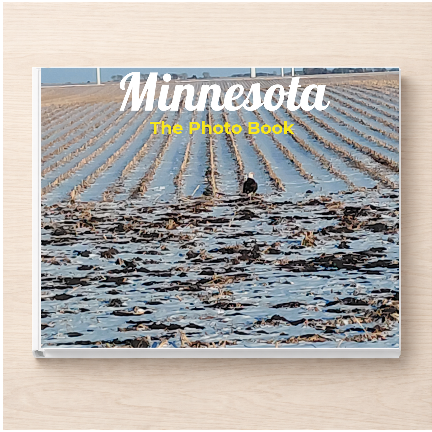 Minnesota: The Photo Book