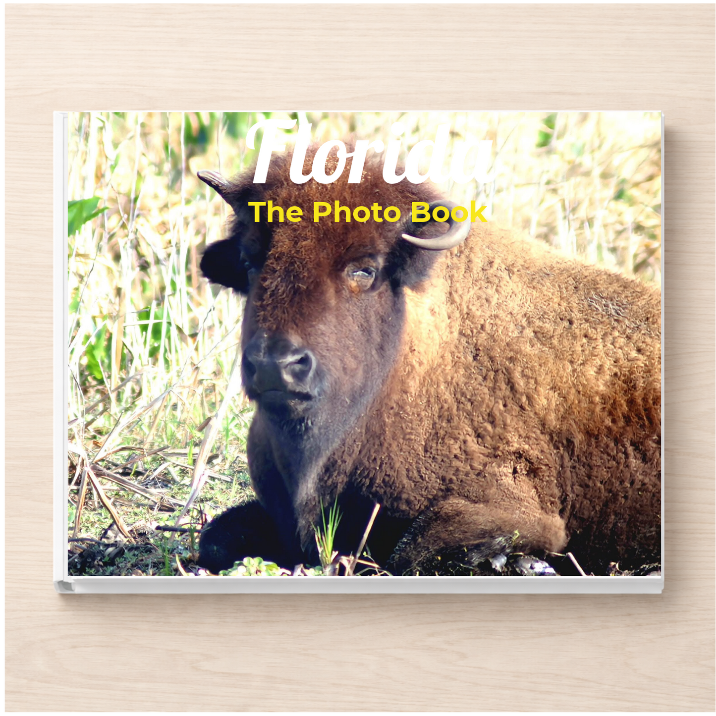 Florida: The Photo Book