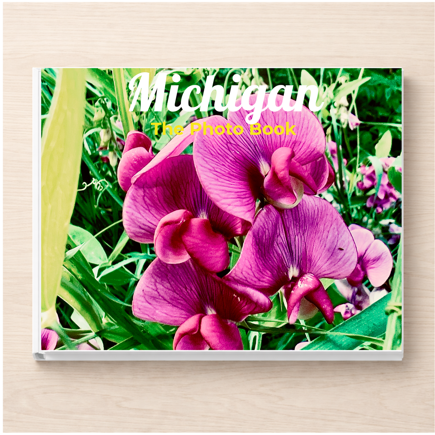 Michigan: The Photo Book