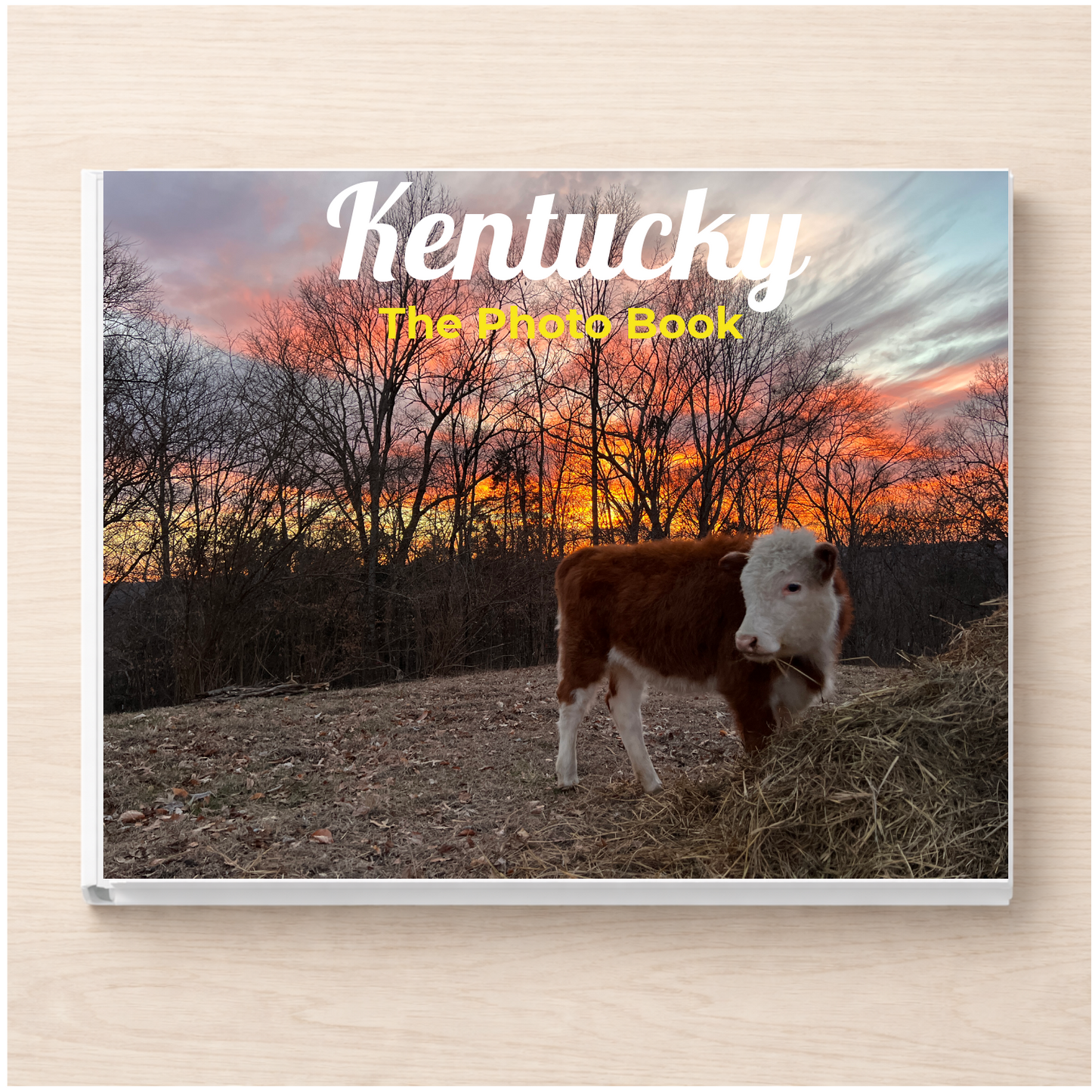 Kentucky: The Photo Book