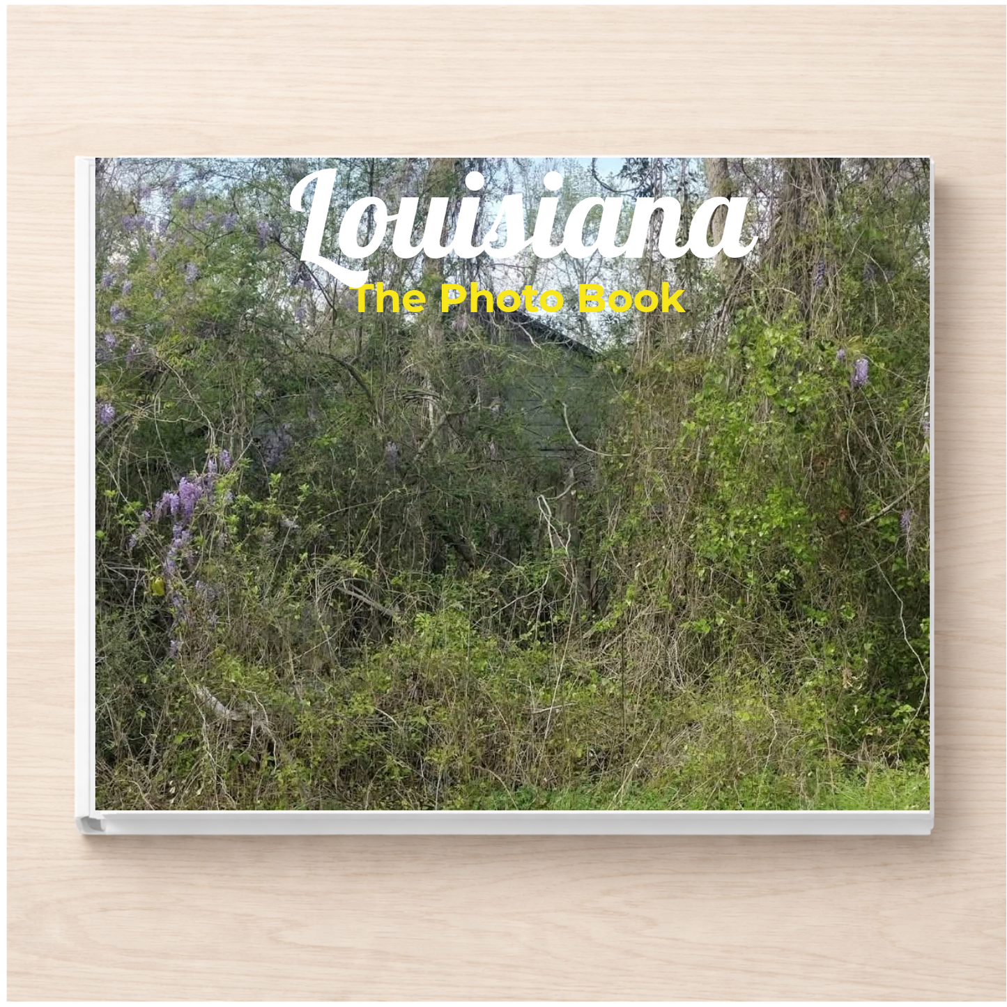 Louisiana: The Photo Book