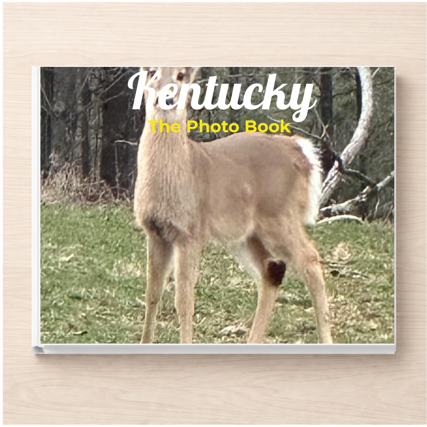 Kentucky: The Photo Book