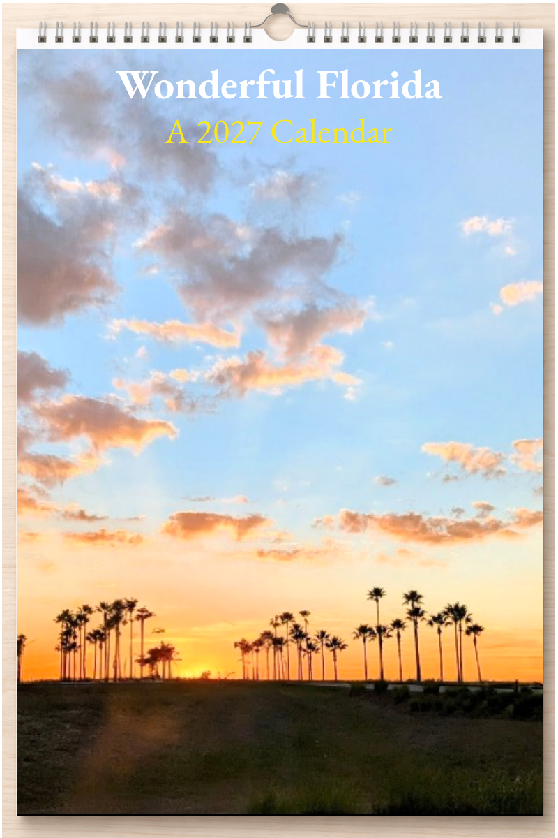 Wonderful Florida: A 2027 Calendar