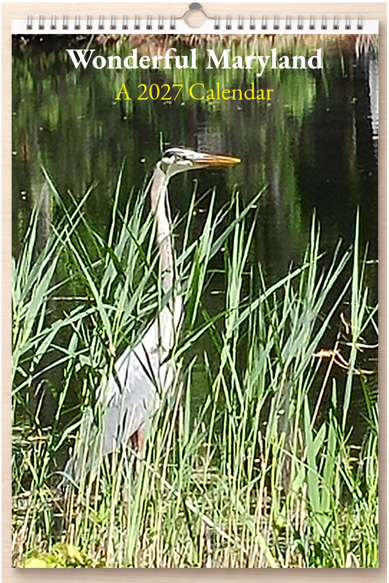 Wonderful Maryland: A 2027 Calendar